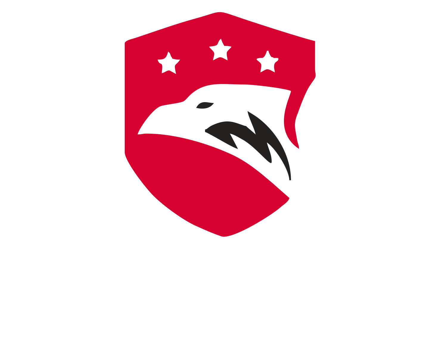 Eagles Securities and Electronics Limited